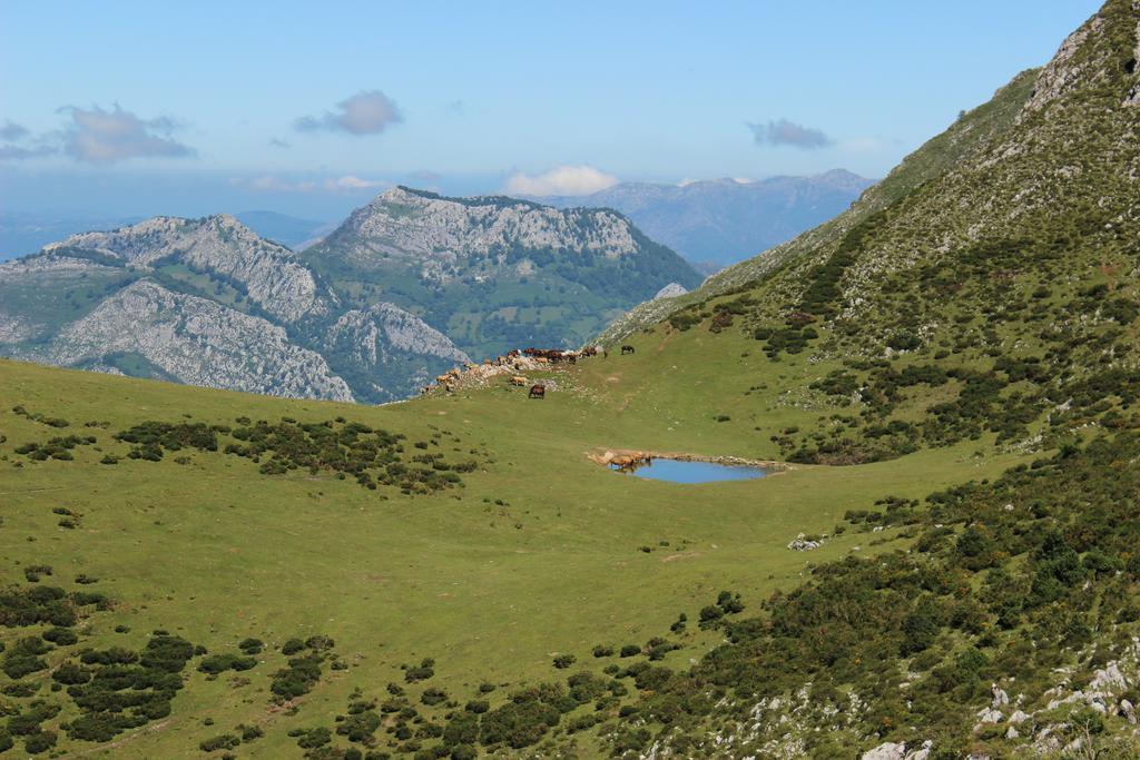 Alojamiento Covadonga Ла-Рьера Экстерьер фото